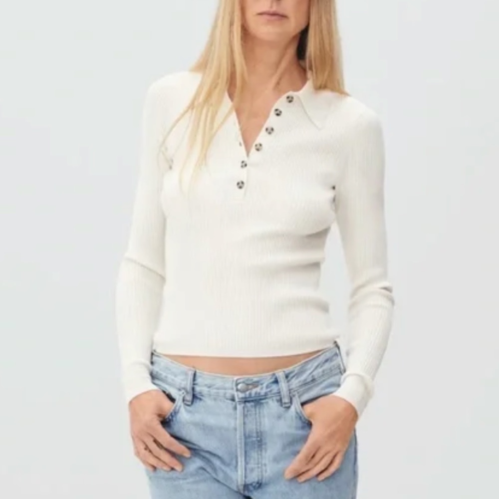 everlane ultrafine merino ribbed polo